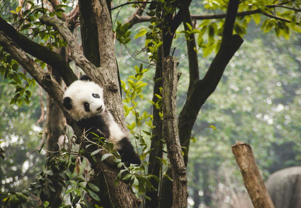 Photo: Theodor Lundqvist / Unsplash