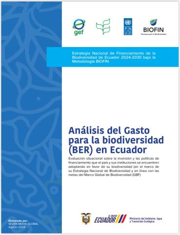 BER Ecuador 2024