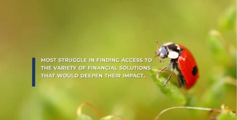 BIOFIN Finance Solutions Catalogue