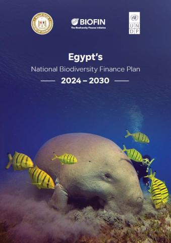 Egypt’s Biodiversity Finance Plan (BFP) 2024–2030
