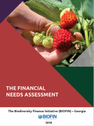 The Financial Needs Assessment (FNA)