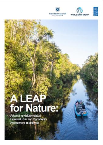 A LEAP for Nature: Advancing Nature-related Financial Risk and Opportunity Assessment in Malaysia