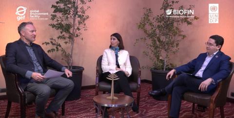 The future of biodiversity finance in an era of global uncertainty