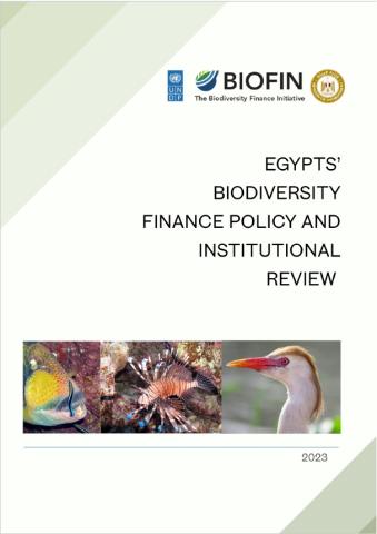Egypt’s Policy & Institutional Review (PIR) 