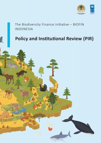 Indonesia's Policy and Institutional Review (PIR)