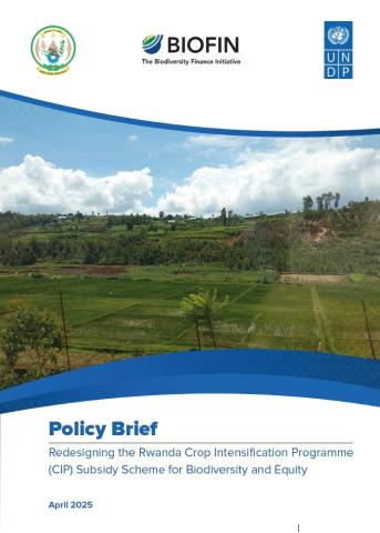 Rethinking Rwanda’s Agriculture: Insights from a Study on redesigning the Crop Intensification Programme (CIP) subsidy