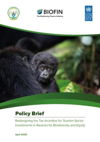 Greening Rwanda’s Tourism Sector