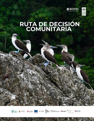 Ruta de decisión
