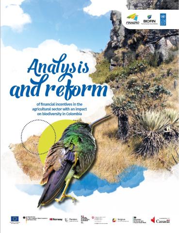 Portada Incentivos EN