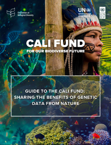 Guide to the Cali Fund