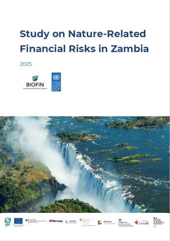 Study on Nature-Related Financial Risks in Zambia