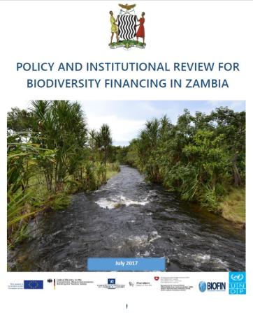Policy and Institutional Review (PIR) – Biodiversity Finance in Zambia