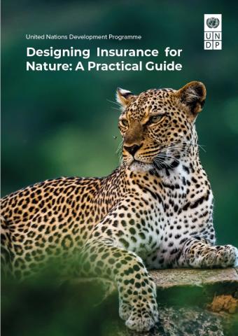 Designing Insurance for Nature: A Practical Guide