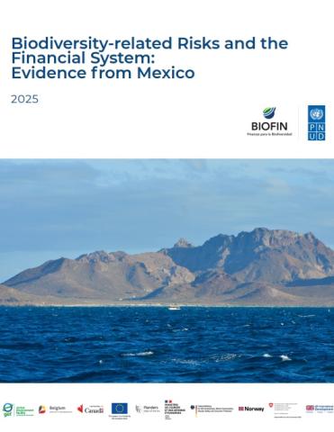 Biodiversity-related Risks and the Financial System: Evidence from Mexico