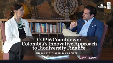 COP16 Countdown: Colombia's Innovative Approach to Biodiversity Finance