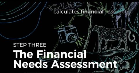 The roadmap for building Biodiversity Finance Plans