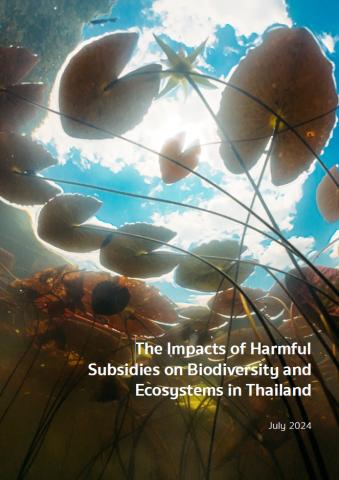 The Impacts of Harmful Subsidies on Biodiversity and Ecosystems in Thailand