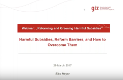 harmful subsidies webinar