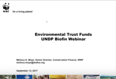 Trust funds webinar