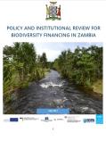 Policy and Institutional Review (PIR) – Biodiversity Finance in Zambia
