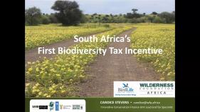 Implementing the biodiversity finance plan