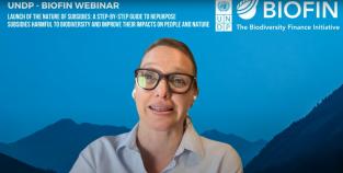 Webinar - Launch of the 'Nature of Subsidies' guide