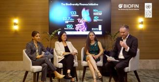 Catalyzing Private Finance for Nature | Insights from Brazil & Chile