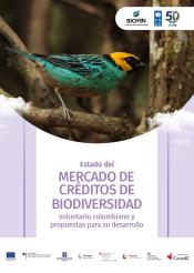 BH Voluntario