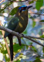 Gasto público de Colombia en biodiversidad