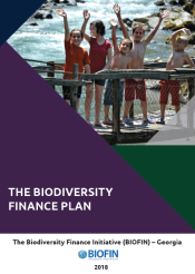 The Biodiversity Finance Plan (BFP)