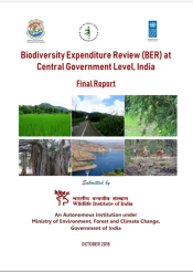 BER Report India