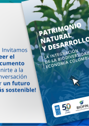 Patrimonio y DHS
