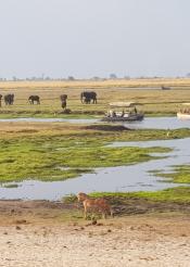 drying Chobe river front