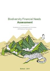 Kyrgyzstan Biodiversity Financial Needs Assessment