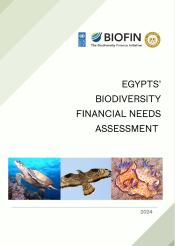 Egypt’s Financial Needs Assessment (FNA) 