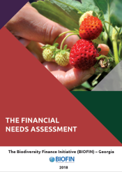 The Financial Needs Assessment (FNA)