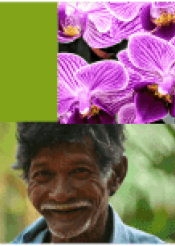 SINAP
