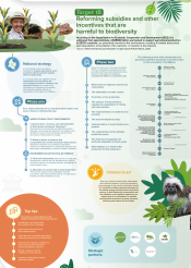 Resource mobilization strategy for the Post 2020 Global Biodiversity Framework. BIOFIN in Colombia.