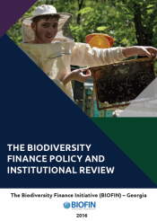 The Biodiversity Finance Policy and Institutional Review (PIR)