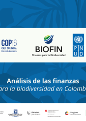 BER Colombia