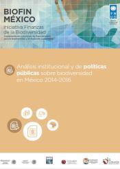 Policy and Institutional Review 