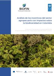 Análisis de incentivos en Colombia - BIOFIN Colombia