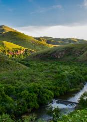 South Africa’s Biodiversity Funding Gap: Rethinking the Stewardship Financing Model