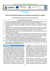 policy brief 1 Zambia 