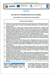 policy brief 3 Zambia 