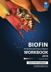 workbook exec summary