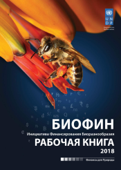 Russian workbook 2018