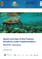 Quick overview of the Finance Solutions under implementation