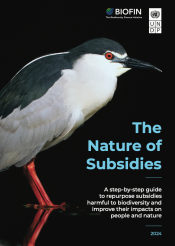 The Nature of Subsidies