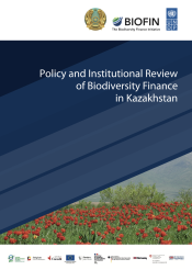 Policy and Institutional Review, Kazakhstan 2025